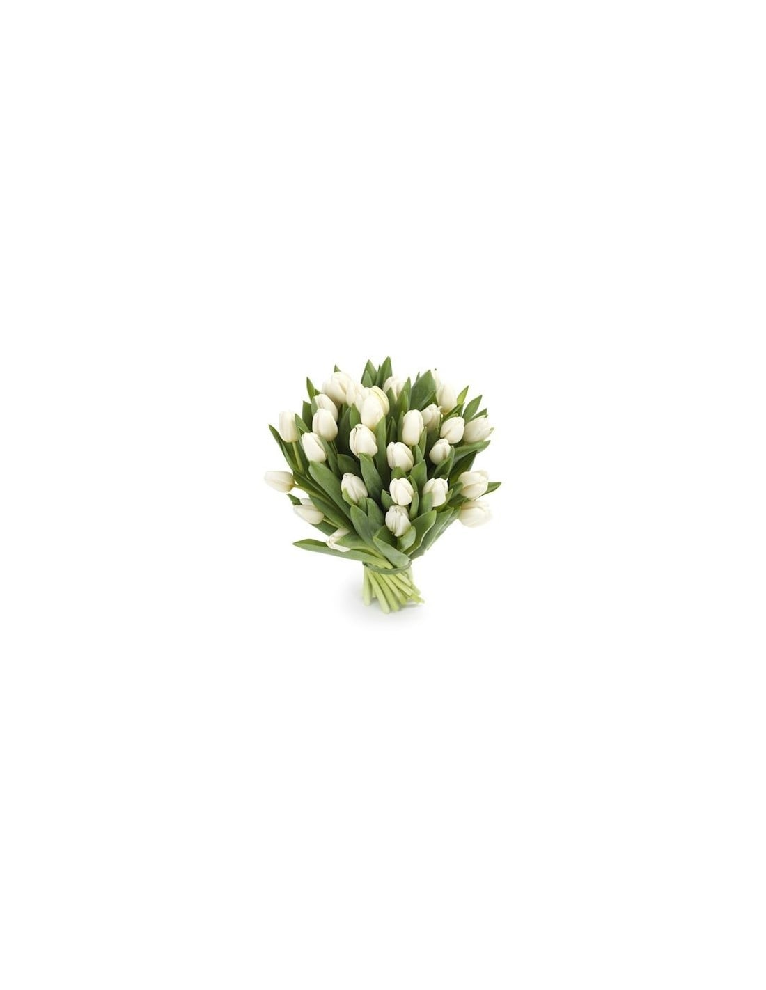 White Tulips (Small)