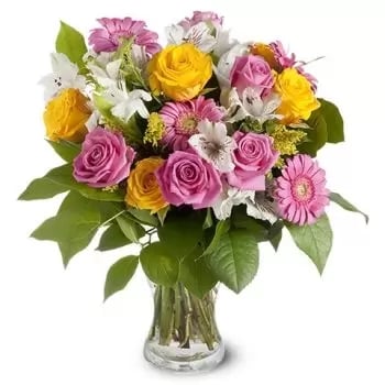6 yellow and 6 pink Roses, pink Gerberas, white Lilies