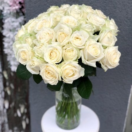 White rose Avalanche