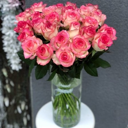 Rose Jumilia