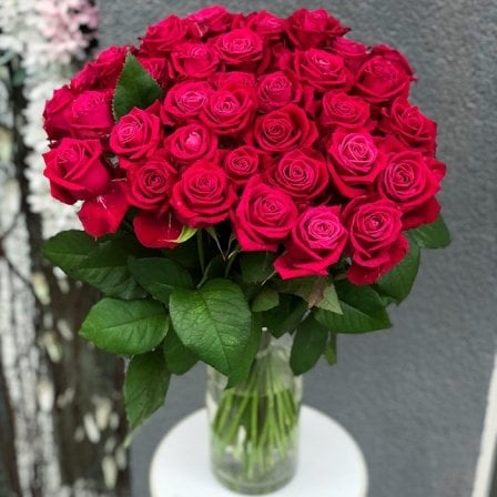 Rose Shangri La