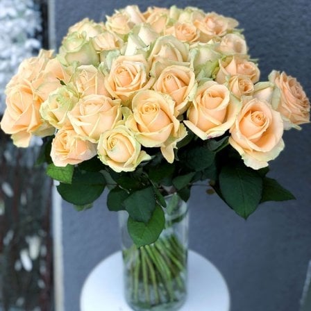 Rose Peach