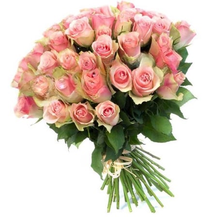 49 Ecuadorian roses 80 cm in assortment (Usual)