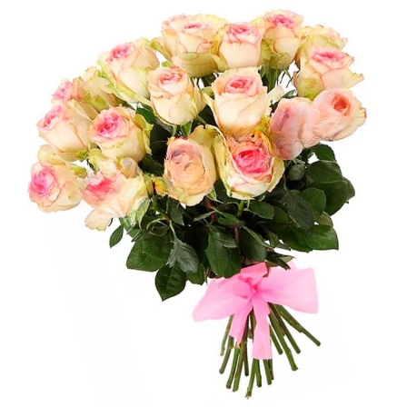 15 Ecuadorian roses 60 cm in stock (Usual)