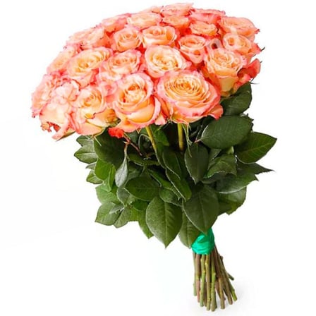 25 Ecuadorian roses 60 cm in stock (Usual)
