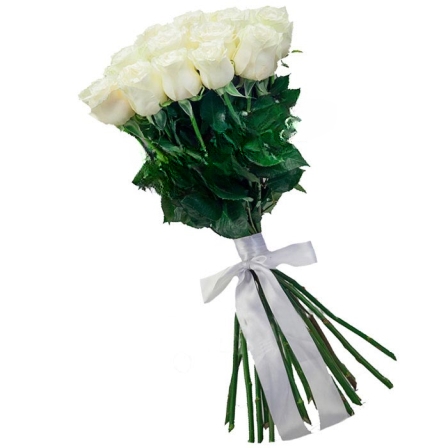 25 white Dutch roses Mondial / White Chocolate (Usual)