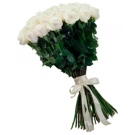 49 white Dutch roses Mondial / White Chocolate (Usual)