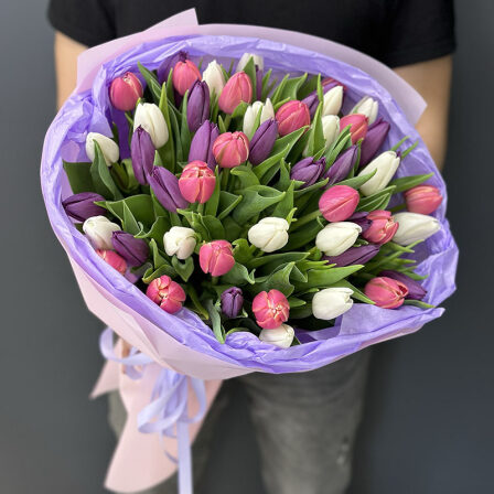 51 tulip mix (Usual)