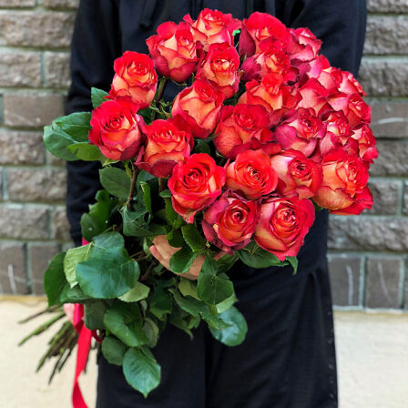 25 Ecuadorian Iguaza roses 80-90 cm (Usual)