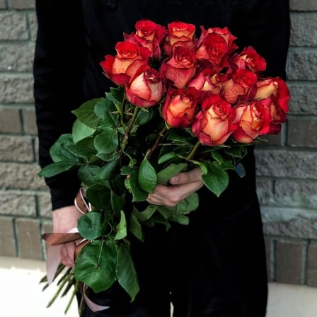 15 Ecuadorian Iguaza roses 80-90 cm (Usual)