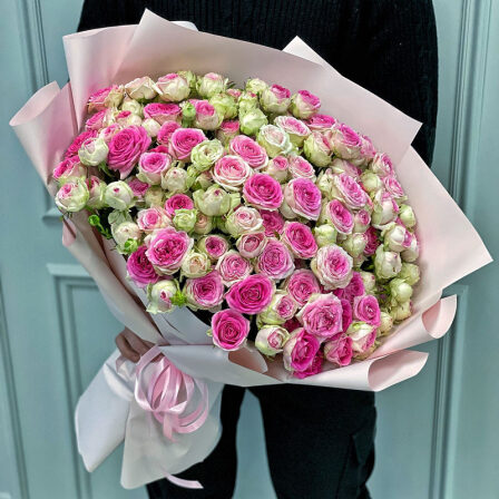 33 spray roses Gelato (Usual)