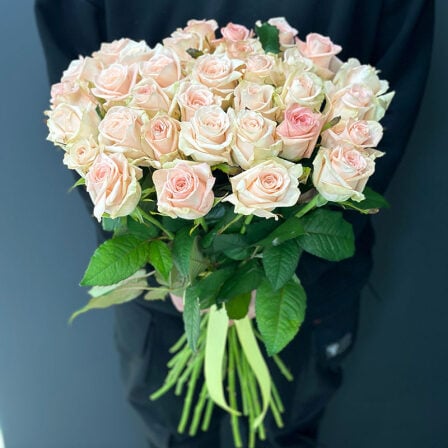 33 pink roses 60 cm (Usual)
