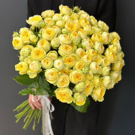 33 spray peony roses Peony Bubbles (Usual)