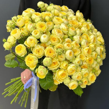 51 spray peony rose Peony Bubbles (Usual)