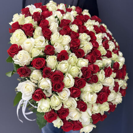 101 tall red and white rose (Usual)
