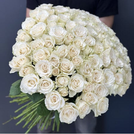 101 white imported roses