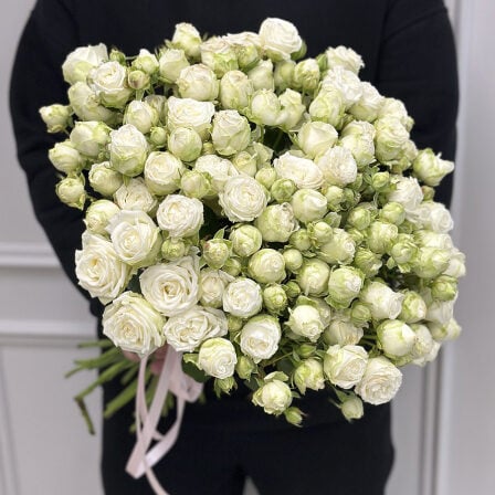 21 bush peony roses in assortment (Usual)
