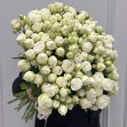 33 bush peony roses in assortment (Usual)