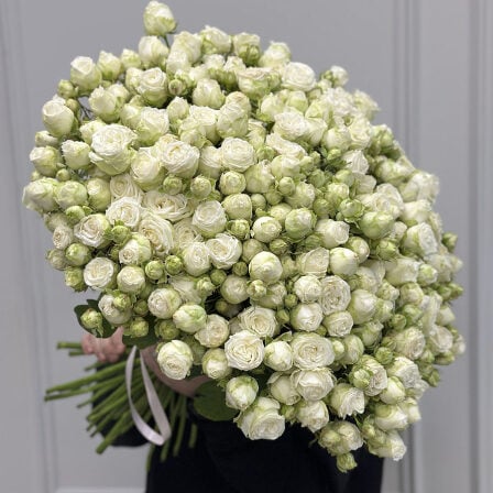 51 bush peony roses in assortment (Usual)