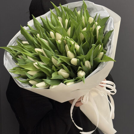 51 white tulips (Usual)