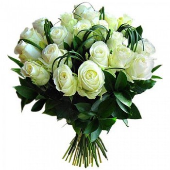 20 White Roses (Standard)