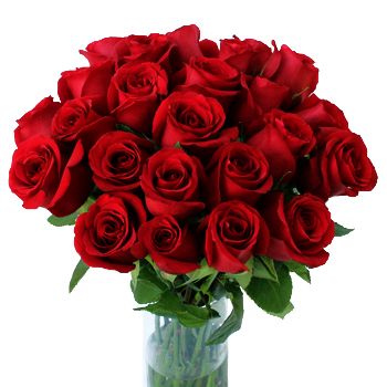 20 Red Roses (Standard)