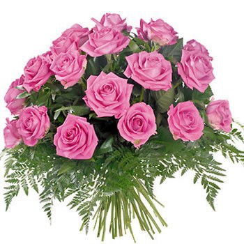 12 Pink Roses (Standard)