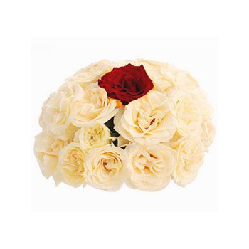 11 White Roses And 1 Red Rose (Standard)
