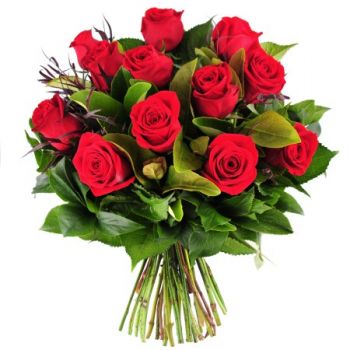 12 Red Roses