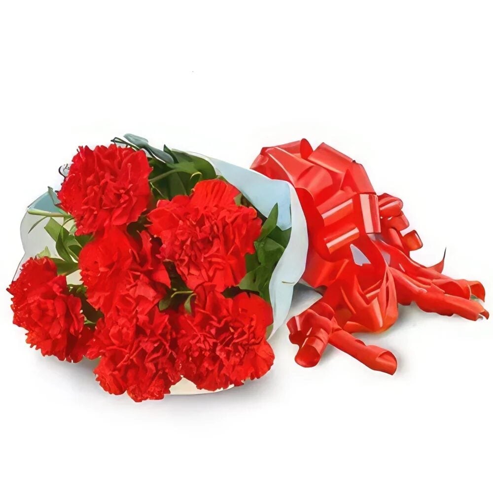 Red Carnation Stems