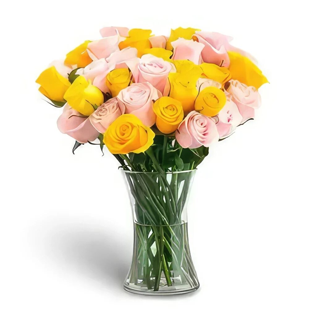 Vibrant Floral Display