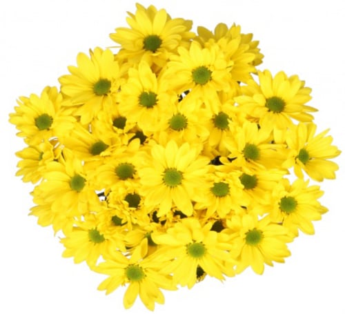 Bouquet Of Flowers 5 Spray Yellow Сhrysanthemums