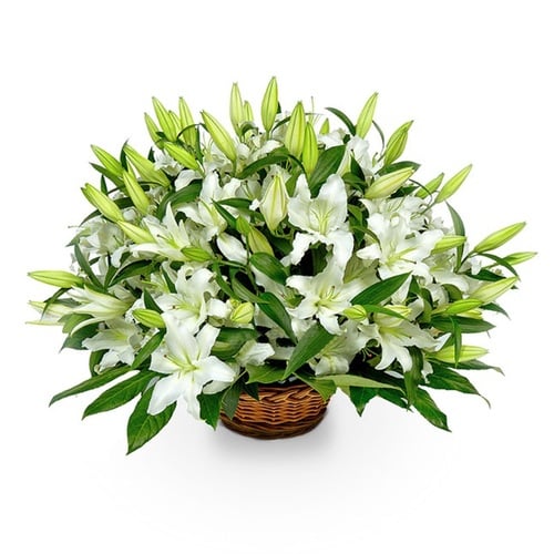 White Lilies Vip Basket