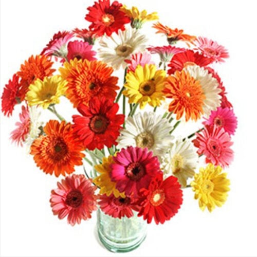Bouquet Of 19 Mini Gerberas