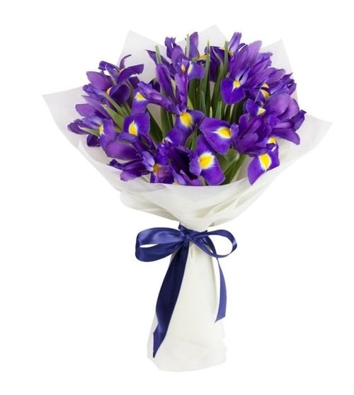 Bouquet Of 17 Blue Irises