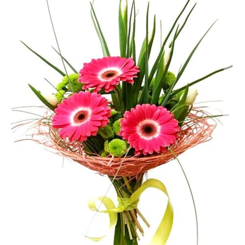 Gerberas Bouquet "Pink& Green"