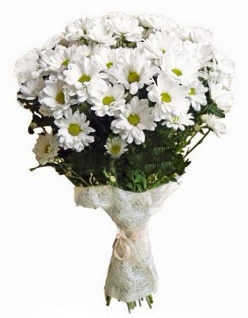 Bouquet Of Flowers 7 White Сhrysanthemums