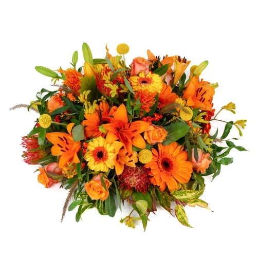 Biedermeier Orange Shades (Small)