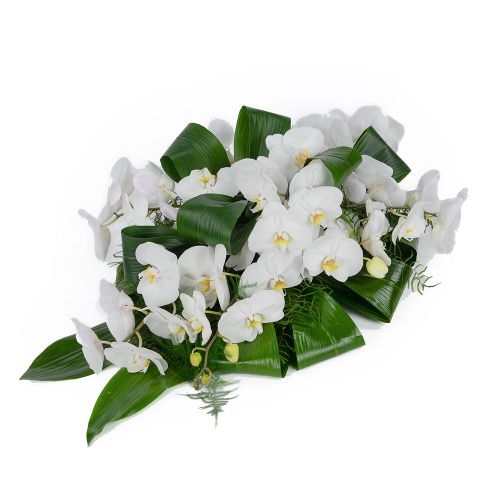 White funeral arrangement orchid (Small)