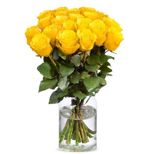 Long yellow roses | choose quantity