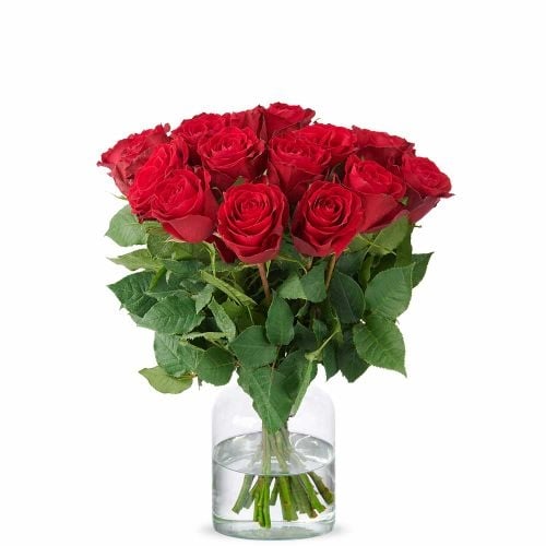 Red roses (Small)