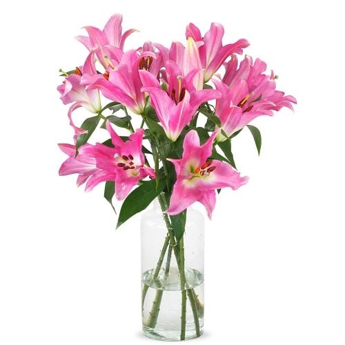 Lilies - Pink Oriental Lilies