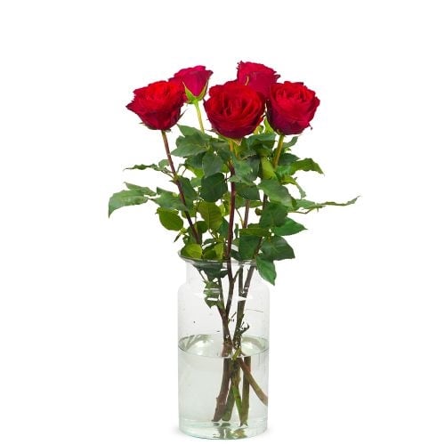 5 red roses