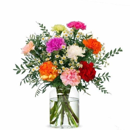 Cheerful Carnations