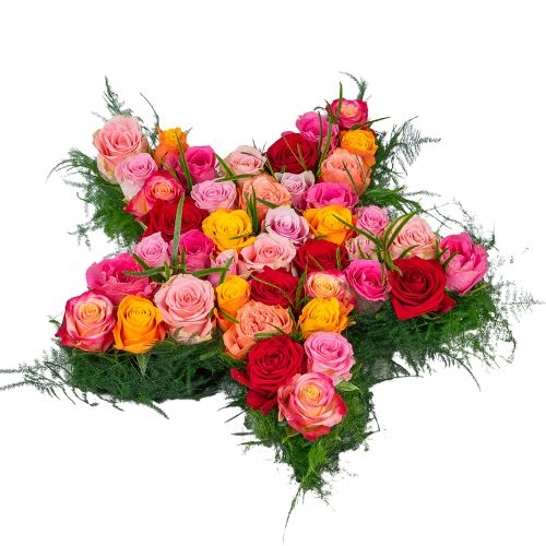 Mixed rose star (40 cm)