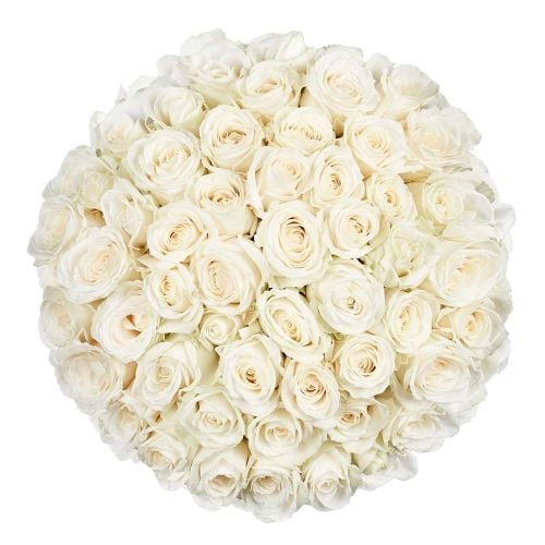 50 Premium white Roses