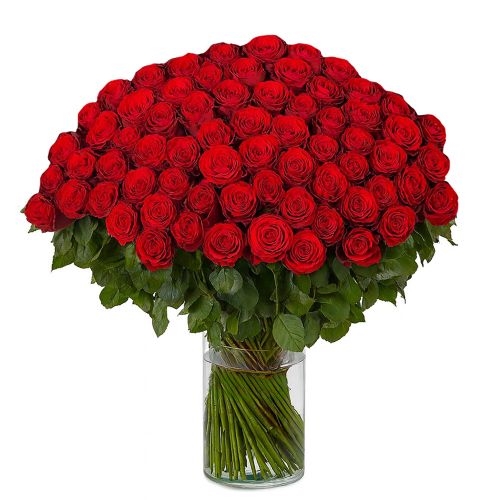 100 red roses | Grower