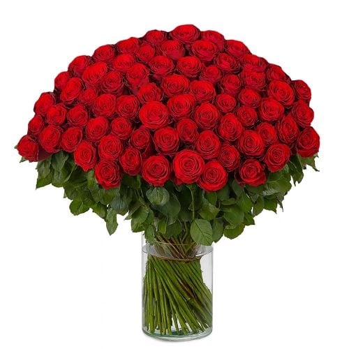 100 red roses - Madam Red (60 cm)