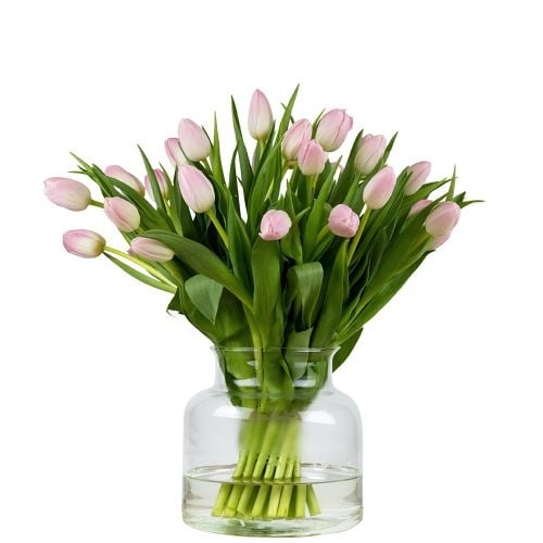 Bunch of pink tulips (Small)