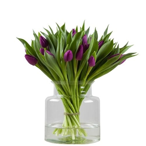 Bunch of purple tulips (Small)